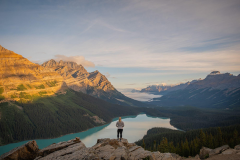 Champ de glace : glacier Crowfoot, lac Bow-Peyto et canyon Marble