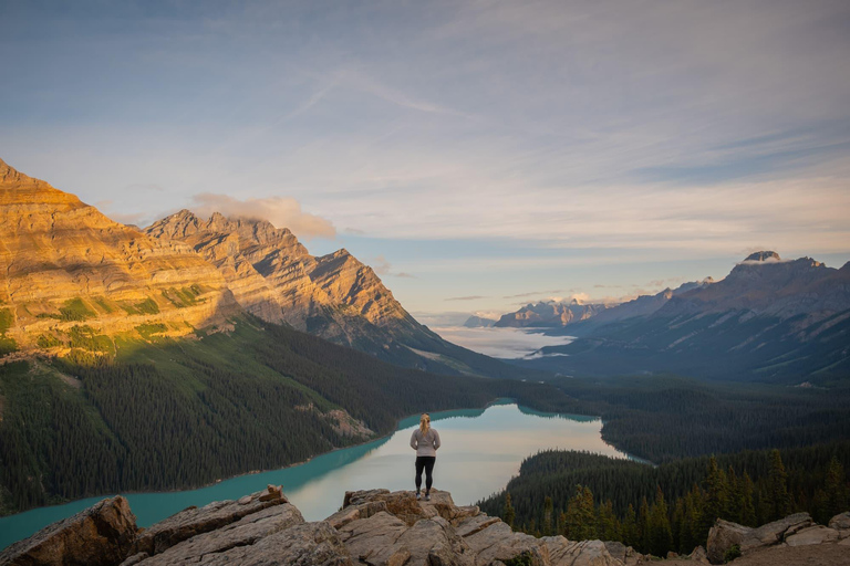 Champ de glace : glacier Crowfoot, lac Bow-Peyto et canyon Marble