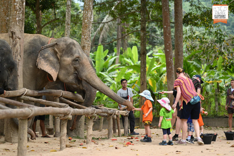 Koh Samui: Elephant Sanctuary Entry and Feeding Experience
