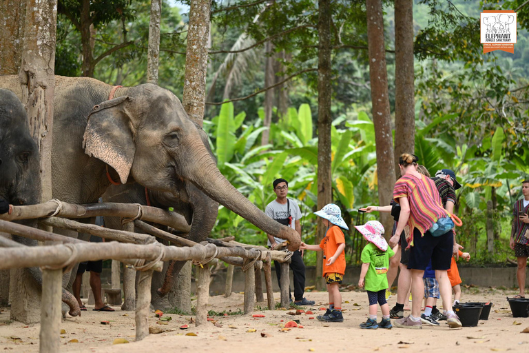 Koh Samui: Elephant Sanctuary Entry and Feeding Experience