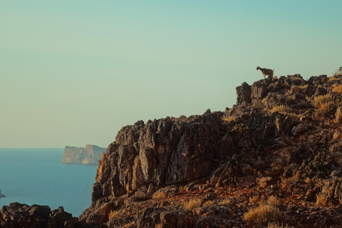 خانيا: جولة سفاري جيب بالوس 4 × 4 من كيساموس