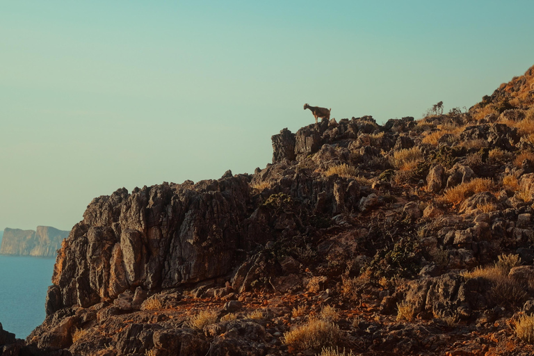 خانيا: جولة سفاري جيب بالوس 4 × 4 من كيساموس