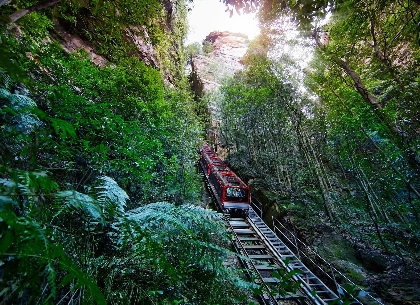 Sydney: Blue Mountains National Park Tour med flodkrydstogt