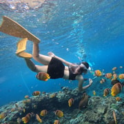 From Bali: 3-Spot Snorkeling Tour to Lembongan and Penida