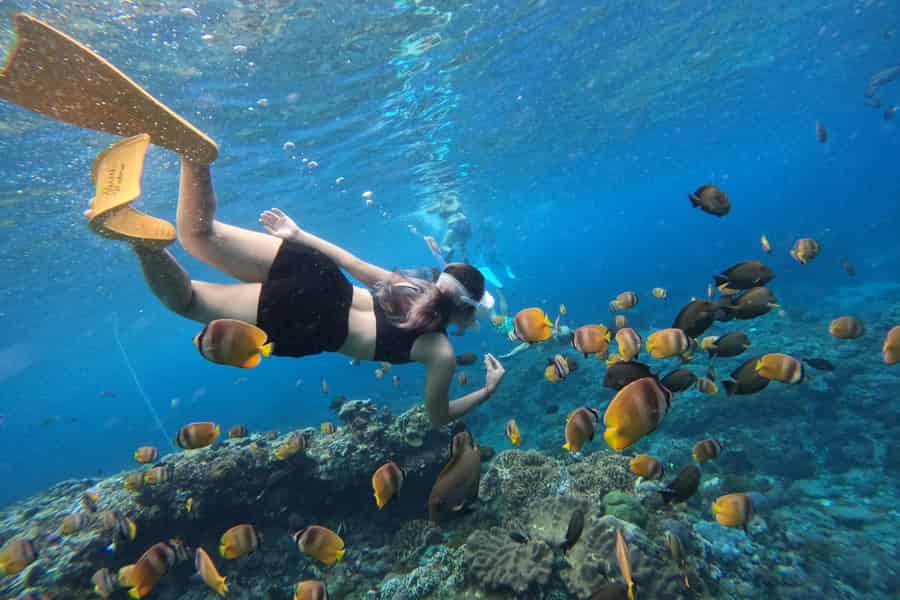 Von Bali: Tour zu 3 Schnorchelspots nach Lembongan und Penida. Foto: GetYourGuide