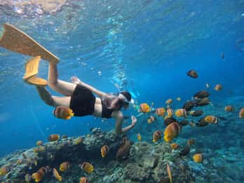 Desde Bali: Excursión a Lembongan y Penida en 3 Lugares para Hacer Snorkel