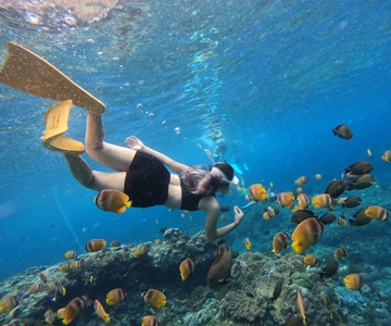 From Bali: 3 Snorkeling Spots Tour to Lembongan and Penida