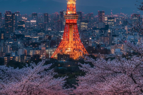 Tokyo Full-Day Private Tour with English-Speaking Guide
