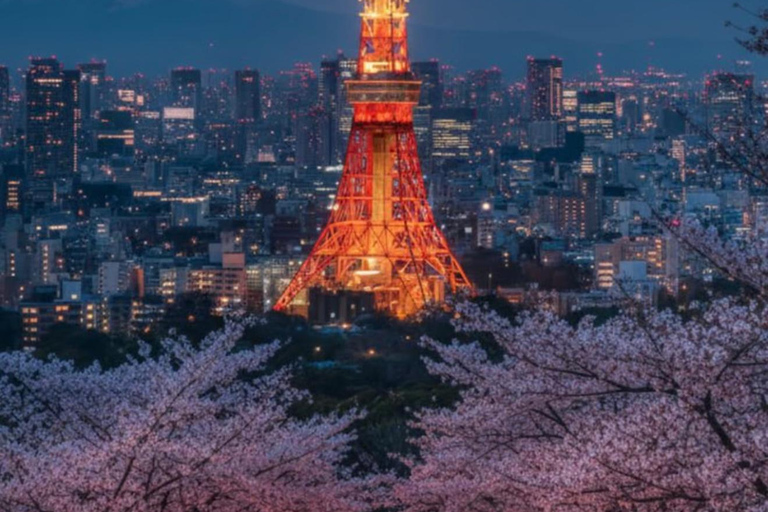 Tokyo Full-Day Private Tour with English-Speaking Guide