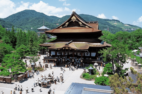 Nagano: Snow Monkeys, Sake Tasting & Zenkoji Private Tour Pick Up From Nagano Area