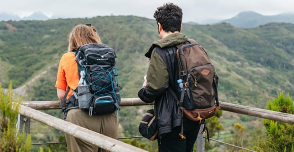 Desde Tenerife Sur: Excursión de un día a la isla de La Gomera con almuerzo