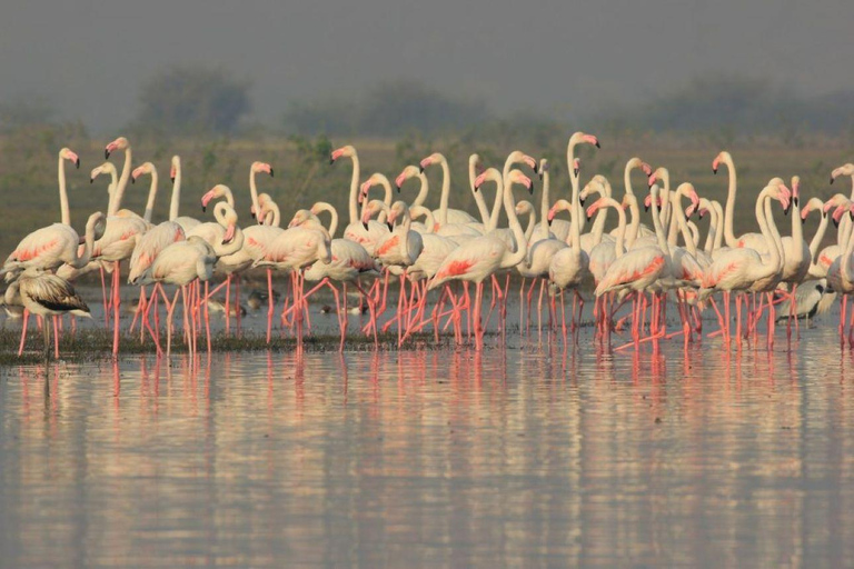 From Nairobi: Lake Magadi 2-Day Trip with Game Drive & Hike