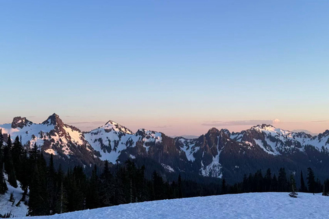 From Seattle: Mt Rainier NP Private Day Trip