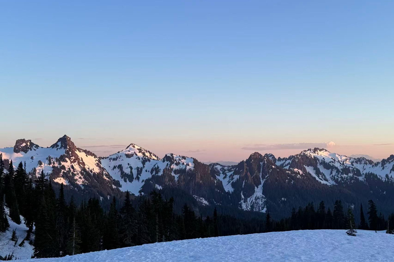 From Seattle: Mt Rainier NP Private Day Trip