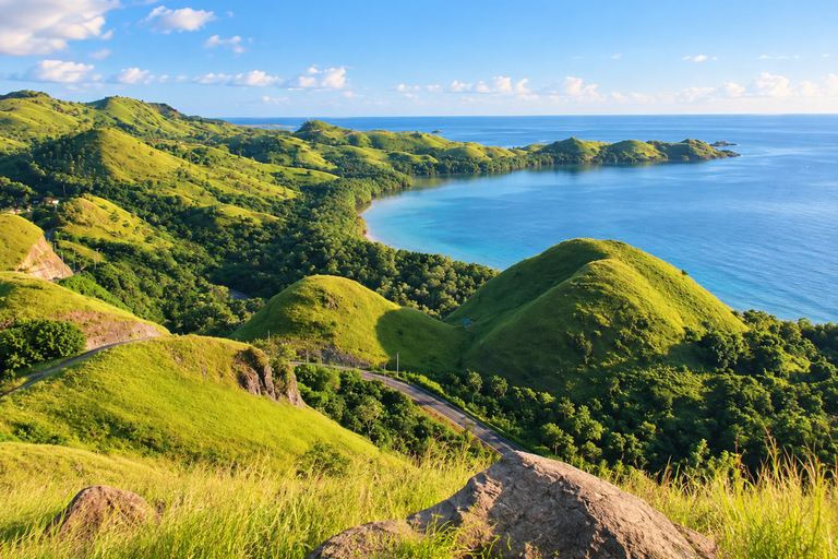 3D Komodo Sailing & Land Tour 12 Stops Single Bed & Hotel 3-Day Shared Cabin, Single Bed No Land Tour No Park Fee