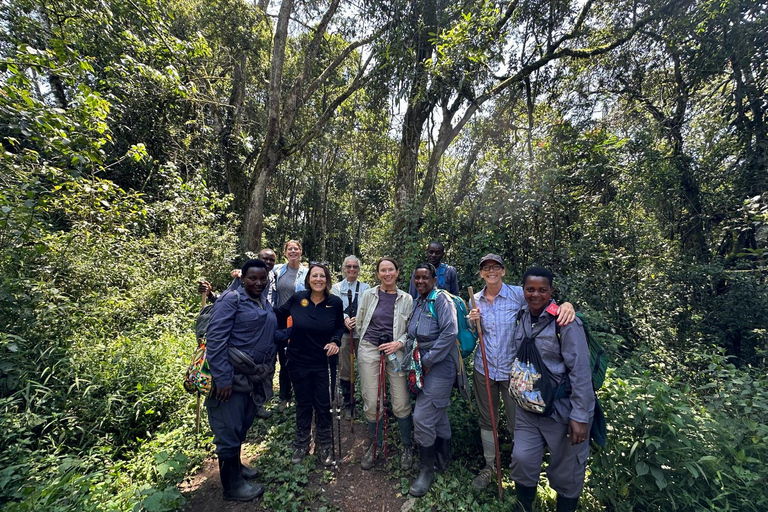 3-Day Bwindi Gorilla Trekking Safari