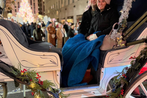 NYC: Central Park Christmas Lights Horse-Drawn Carriage Ride