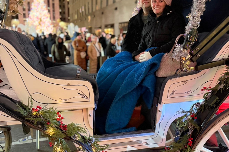 NYC: Central Park Christmas Lights Horse-Drawn Carriage Ride