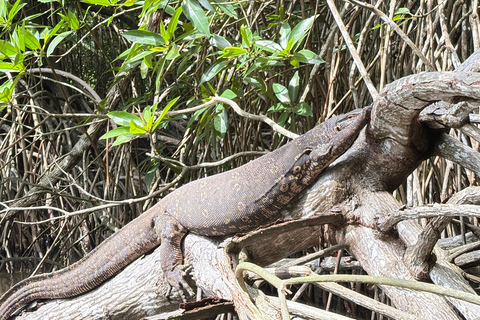 Bentota: River Boat Safari and Tuk-Tuk Ride with Pickup-Drop