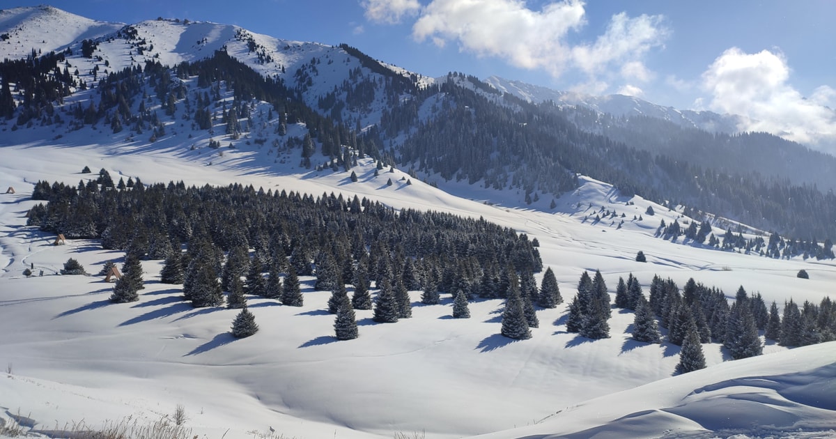 Almaty: Hiking to the High Mountain Pasture Kok Zhailau | GetYourGuide