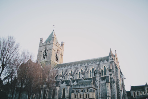 Dublin: rondleiding door het Book of Kells, het kasteel en Christ Church