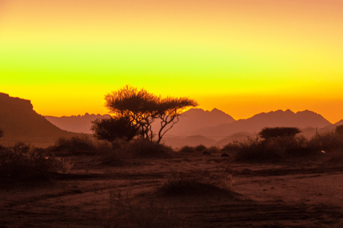 Wadi Disah Adventure (z Al Ula)