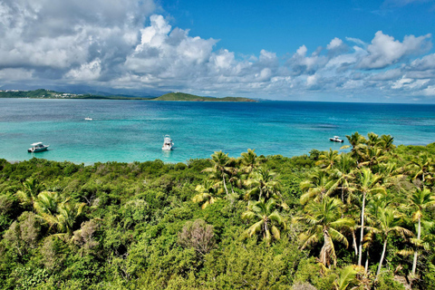 Icacos or Palomino: Luxury Yacht Tour. Snorkeling and Lunch