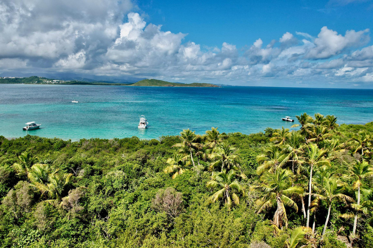 Icacos or Palomino: Luxury Yacht Tour. Snorkeling and Lunch