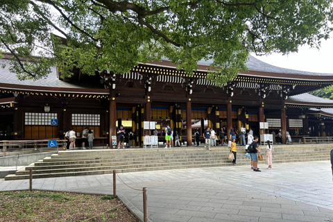 Tokyo : Visite guidée matinale avec guide anglophoneTokyo : Visite matinale