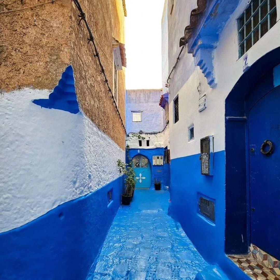 Depuis Tanger : Asilah Tour avec dégustation de thé et balade à dos de chameau