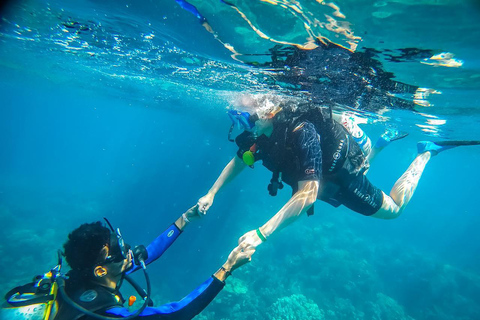 Hurghada: Scuba Diving cruise with lunch & pickup Single Beginner introduction dive with pickup and lunch