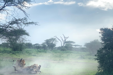 Tansania: 5-tägige private Mittelklasse-Safari mit Unterkunft