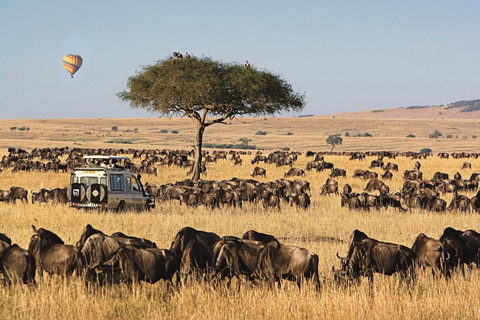 3 dagars Amboseli safari med lyxig lodge och flyg3 dagar Amboseli flygpaket