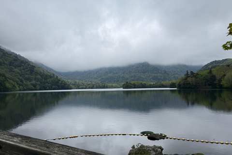 Tokyo: Nikko Private Day Tour with Pickup