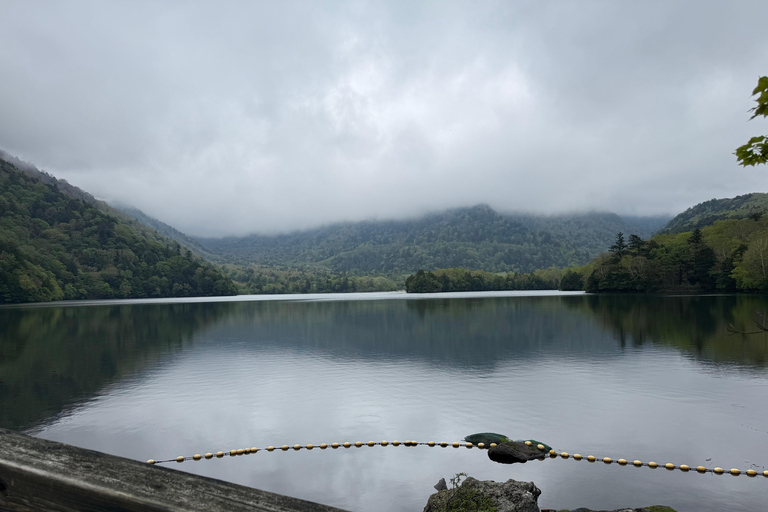 Tokyo: Nikko Private Day Tour with Pickup