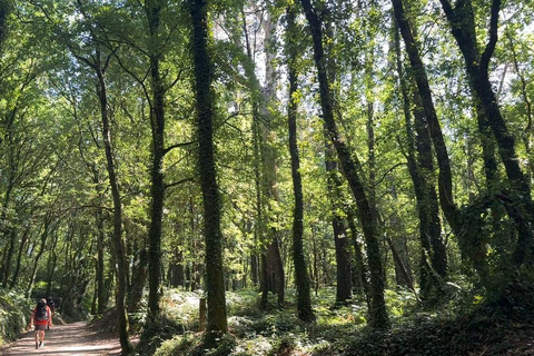 From Lourdes to Bétharram: a stage of the Camino de Santiago on foot