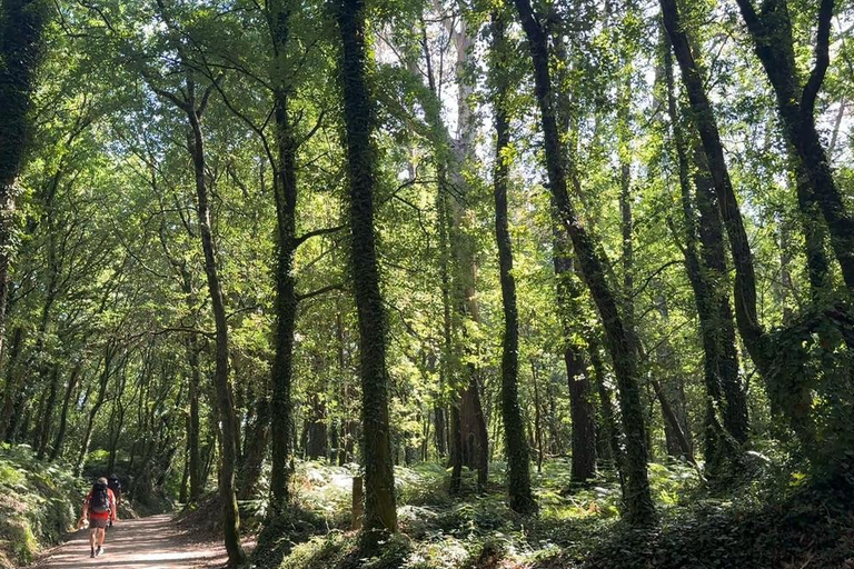 From Lourdes to Bétharram: a stage of the Camino de Santiago on foot