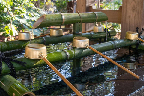 Wycieczka na górę Fuji Hakone/Kamakura: BEZPŁATNA kolejka linowa i rejs po jeziorze AshiWycieczka ze stacji Shinjuku o godz. 8:30 – bez kolejki linowej i rejsu statkiem