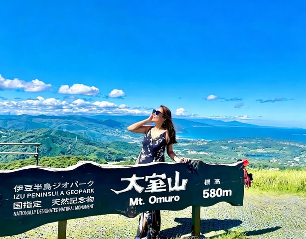 Izu Day Trip: Omuroyama & Coast 9-Guest Small Group