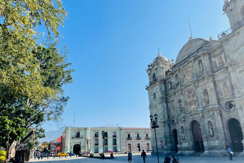 Oaxaca: Living Culture and Local Knowledge