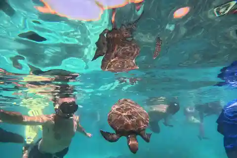 Oman: escursione di snorkeling all'Isola di Daymaniyat con attrezzatura