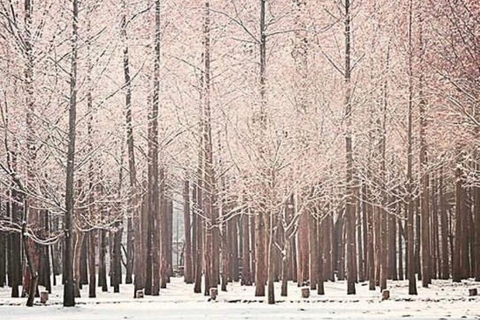 From Seoul: Winter Wonder Tour, Mt. Seorak & Eobi Ice Valley Meeting point: Hongik Univ.Station Exit No.8