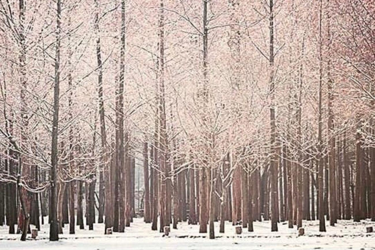 From Seoul: Winter Wonder Tour, Mt. Seorak & Eobi Ice Valley Meeting point: Hongik Univ.Station Exit No.8