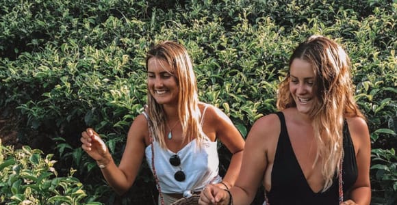 Ella: Tea Plantation Tour and Tasting Experience