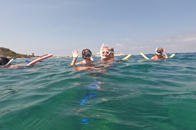 Pafos: Observación de tortugas con esnórquel en moto de mar