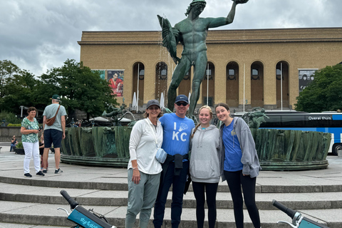 From Copenhagen: Gothenburg Private Day Trip with Lunch