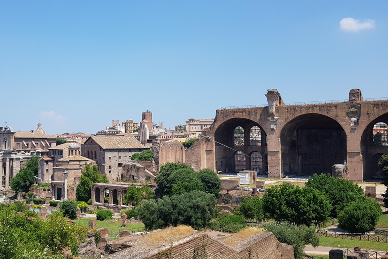 Roma: Colosseo + Città antica con guida - PICCOLO GRUPPO 7 PERSONE