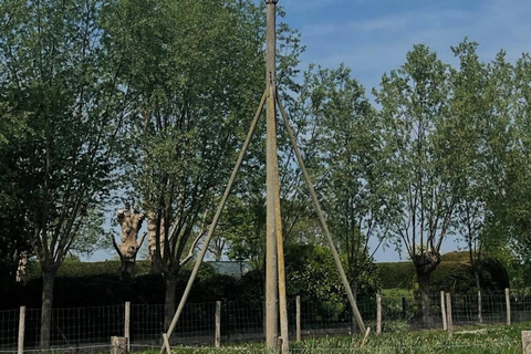 From Bruges: Half-Day Guided E-Bike Tour to Dutch border