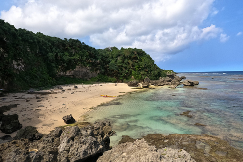 Okinawa: Private Kayak Mangrove or Reef with Native EnglishOkinawa: Private Kayak Tour with English-Speaking Guide