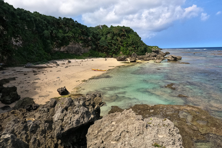 Okinawa: Private Kayak Mangrove or Reef with Native EnglishOkinawa: Private Kayak Tour with English-Speaking Guide